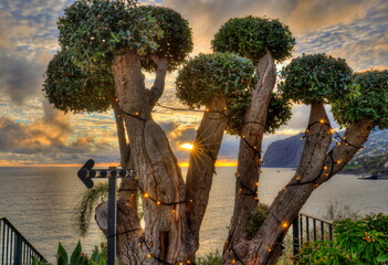 Ein Sonnenuntergang auf Madeira mit schönen Bäumen im Vordergrund