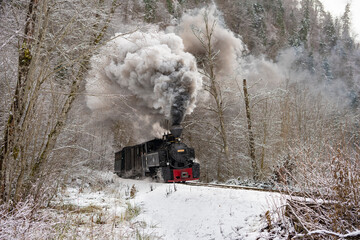 Mocanita Steam Train from Romania, town Viseu de Sus in the North of Carpathians  - obrazy, fototapety, plakaty