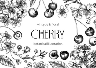 Berry fruit background. Cherry berries, leaves, flowers sketches. Cherry blossom hand-drawn vector illustration. Floral frame design.