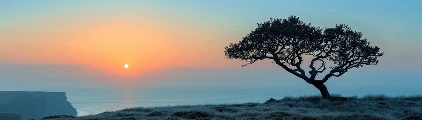 Silhouette of a tree at dawn, nature's sentinel against the sky - obrazy, fototapety, plakaty