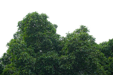 Light pink silk or satin wavy background beautiful and luxurious Space for design. Close-up. Blurred or blurry.