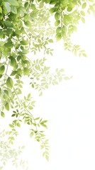 Background materials for plant flowers