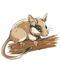 Charming Whiskered Mouse Animal Lover Sketch - obrazy, fototapety, plakaty