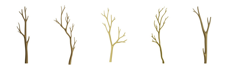 Bare Tree Branch with Stem and Limb Vector Set - obrazy, fototapety, plakaty