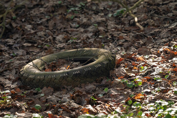 A discarded car tire outside in the leaves.