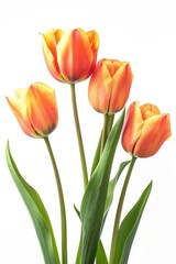 A detailed view of a vase filled with beautiful flowers. Ideal for interior design projects