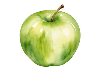 Watercolor illustration of a apple on a transparent background. The botanical image is ideal for the design of postcards, posters, textiles, menus.