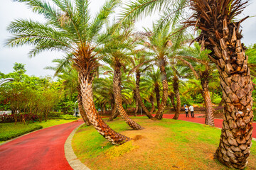 Summer Sea Flower Island in Zhanzhou, Hainan, China