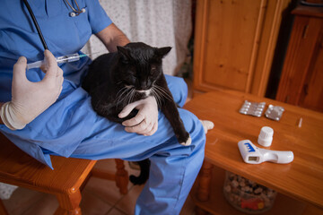 A veterinarian is giving a cat a shot, cat receiving medication