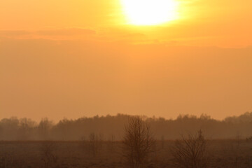 Fototapeta na wymiar The Sunset Over The Spring Fields