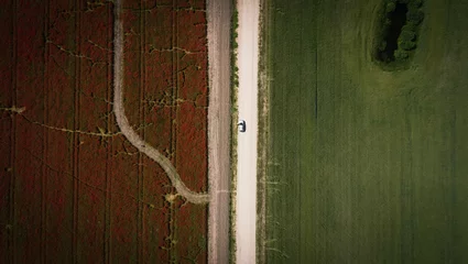 Fototapete Rund dirt road between grass field and poppy field from high © Valentyn