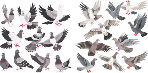 City dove bird, flying pigeons and town birds doves