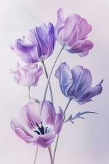 A vase filled with purple and white flowers. Suitable for home decor or floral arrangements