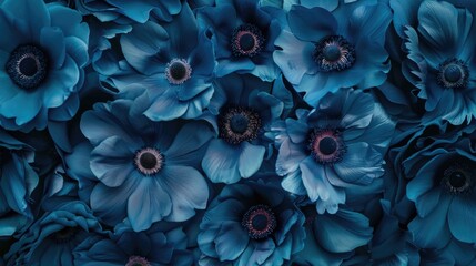 Close up of blue flowers, perfect for nature concepts