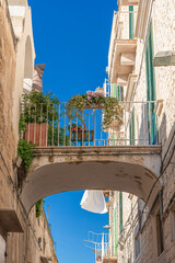 Centro storico di Molfetta. Piccola strada acciottolata ed edifici residenziali in pietra. Puglia,...