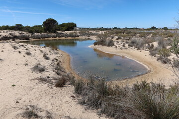 Salinas El Pinet, La Marina, Alicante, Spain, April 10, 2024: Small lagoon on the dune route of Salinas del Pinet, La Marina, Alicante, Spain