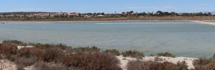 Salinas El Pinet, La Marina, Alicante, Spain, April 10, 2024: Panoramic of the small islands with different types of birds in the lagoons of the Salinas del Pinet, La Marina, Alicante, Spain