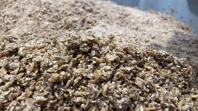 Mashing of milled malt grains for preparing malt. Process of brewing grain of barley. video footage