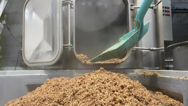 Mashing of milled malt grains for preparing malt. Process of brewing grain of barley.