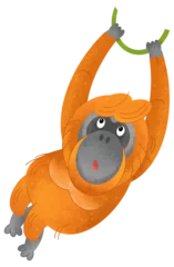 Foto auf Glas cartoon scene with monkey orangutan animal theme isolated on white background illustration for children © agaes8080