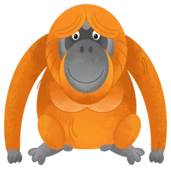 Poster Im Rahmen cartoon scene with monkey orangutan animal theme isolated on white background illustration for children © agaes8080