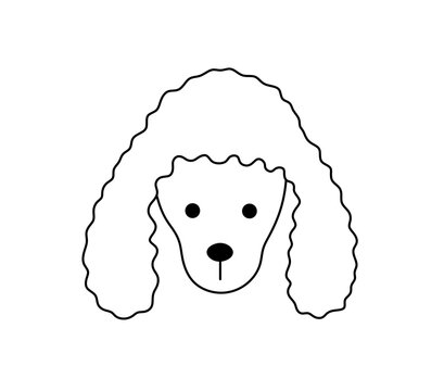 Vector isolated one single Poodle dog head face muzzle mask colorless black and white contour line easy drawing