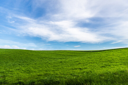 Eine gr&uuml;ne Wiese mit blauem Himmel der an Windows 95 erinnert