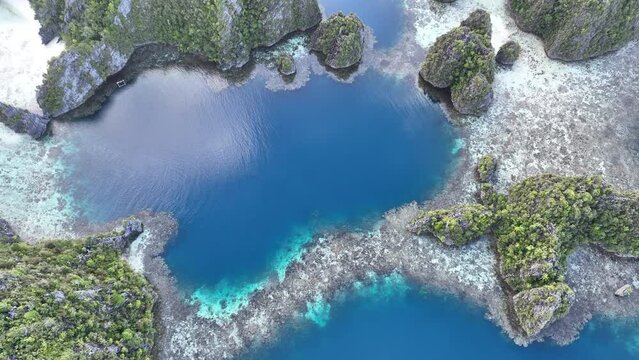 Healthy coral reefs surround islands rising from Raja Ampat's tropical seascape. This region of Indonesia is known as the heart of the Coral Triangle due to the marine biodiversity found there.