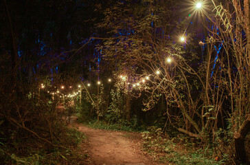 a forest path with hanging lights at night, summer outdoor night life