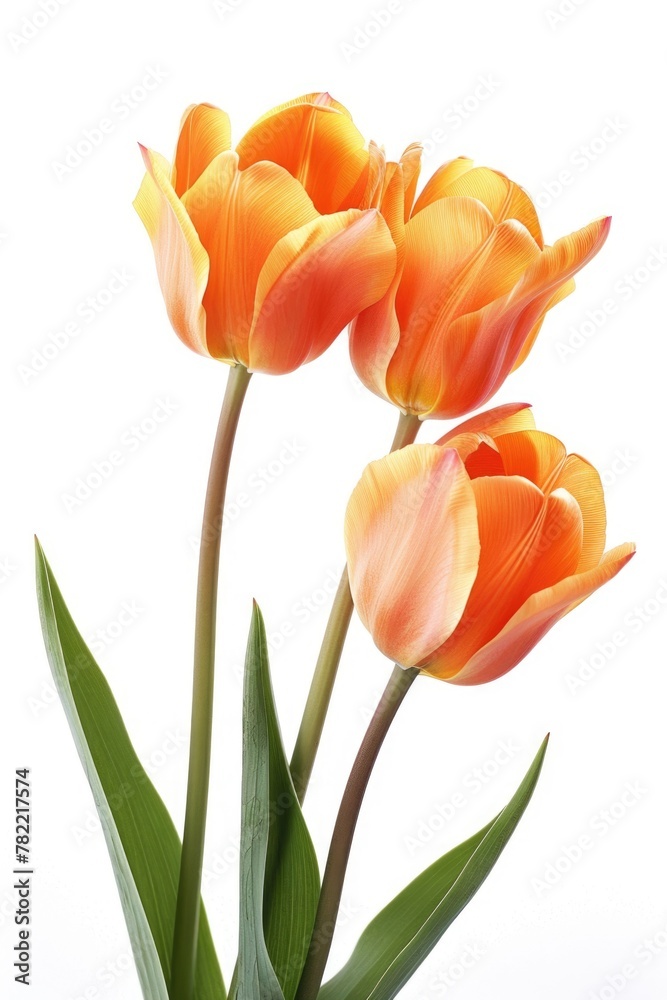 Aufkleber Three vibrant orange tulips in a simple vase, perfect for adding a pop of color to any space