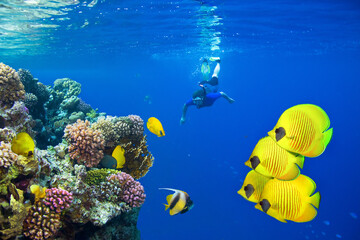 A woman snorkels at beautiful coral reef.