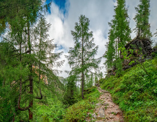 Hike with me along the valley at a stony path way which is embedded between green and juicy...