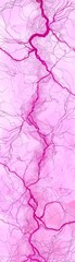 Fototapeta premium Digital art featuring an optical illusion on a pink background, where data sensitive vasculature grids morph into a mesmerizing pattern, 