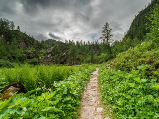 Green Bavarian Landscape hike along the Berchtesgaden Mountains during a foggy morning before the...