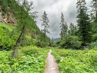 Bavarian hiking path though the Berchtesgadener Saugasse during fog and rainy weather conditions 