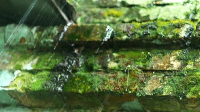 Heavy rain against the backdrop of a destroyed green wall. Shot in macro, water flows from a ledge with moss on the wall.