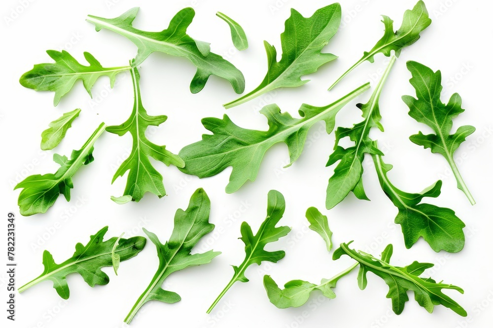 Wall mural fresh arugula leaves on white background top view