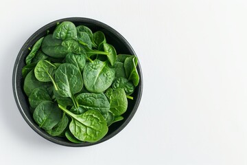 Fresh baby spinach in a bowl on white background Vegetable banner Studio shot Healthy food concept
