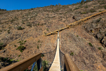 Wooden bridge on nature pathway