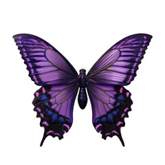 Black and purple butterfly on Transparent Background