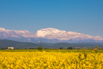 Beautiful Mountain landscape. Guba region of Azerbaijan. View of a Mount Shahdag