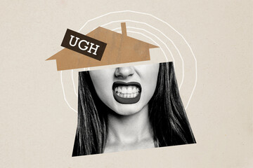 Composite photo collage of angry girl grimace teeth half face house moving dislike dissatisfaction,...