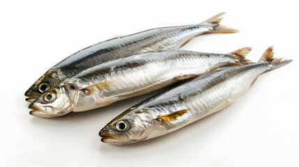 Fresh Whole Anchovy. Raw Seafood Fish Diet Concept Isolated on White Background