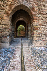 Fototapeta na wymiar Alcazaba de Velez Fortress