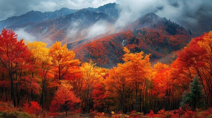 Inspiring panoramic vista of vibrant autumn foliage in a Japanese forest