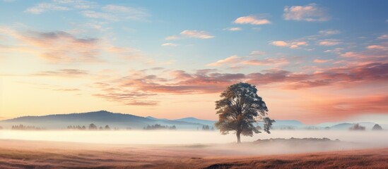 Lone tree in field under foggy sky - Powered by Adobe