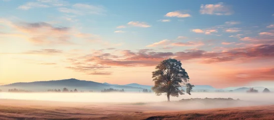 Foto op Plexiglas Lone tree in field under foggy sky © HN Works