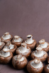 Fresh Portobello mushrooms against a rich brown background. Perfect for culinary or nature-themed designs.