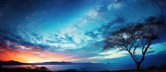 Fototapeta na wymiar Tranquil tree silhouetted against stunning sunset and starry sky