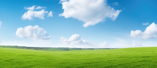 Fototapeta na wymiar Beautiful landscape with green field, blue sky, and fluffy clouds